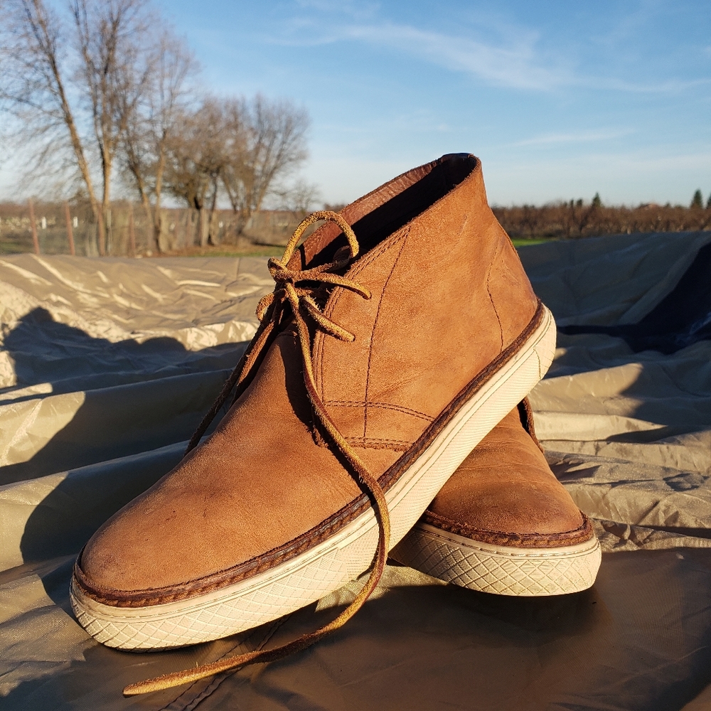Frye Shoes